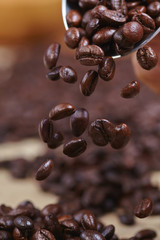 Obraz premium coffee beans