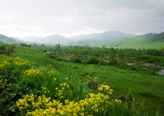 Obraz premium The river in mountain valley