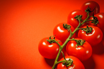 some juicy small tomatoes on a red background