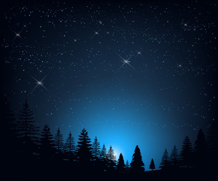 Night landscape with starry sky on a background silhouettes of trees