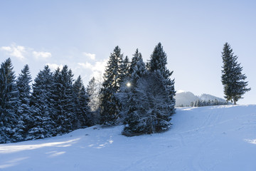 Winter in den Bergen