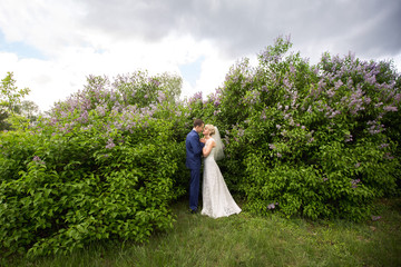 Wedding in spring, bride and groom kissing in lilac bushes, happy and young newlyweds