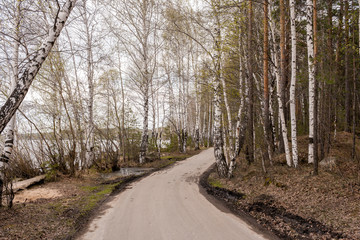 Road in forest along lake in early spring.