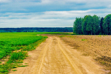 road in the field