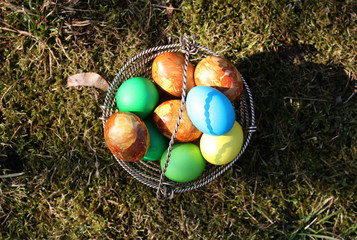 Colorful Easter eggs in the basket on green grass
