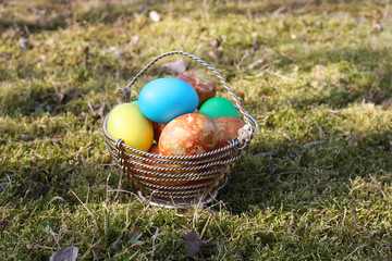 Fototapeta na wymiar Colorful Easter eggs on the grass