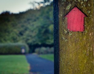 Signpost Pointing The Way