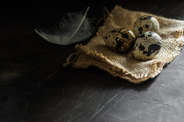 Quail eggs on burlap cloth, white feather, on black scratched concrete background, Easter concept, minimalistic, moody, conceptual