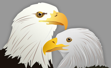 Vector Illustration of Eagle Head