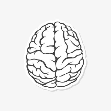 Human brain sticker - vector Illustration