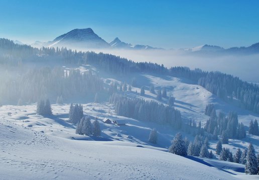 Winterlandschaft im Nebel