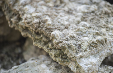 Seashell Graveyard, Fossil Shell Cemetery in Thailand