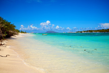 Tropical coast, beach with hang palm trees,  vacation .