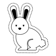 cute rabbit isolated icon vector illustration design