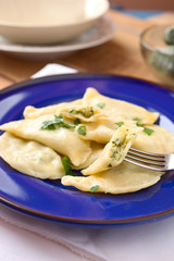 Piroggen