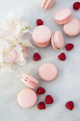 Delicious pink biscuits macaroons on light background with fresh berries raspberry and red flowers. A romantic date. Gift for Valentine's day. Ideal for holiday of international women's day.