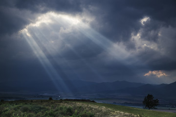Sun rays over valley. Sun rays over hill. Tree in sun rays. Lonely tree. Tree with mountains in the...
