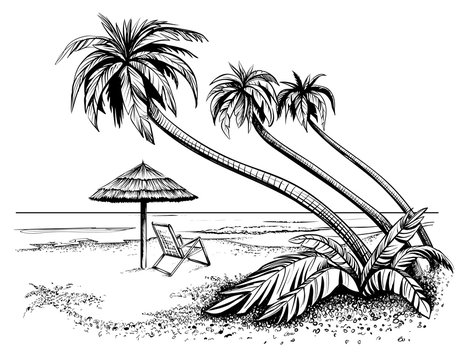 Ocean or sea beach with palms, sketch. Black and white vector illustration of island shore with umbrella and chaise longue. Hand drawn seaside view.