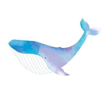 Whale. Sea animal. Watercolor Hand-painted Illustration Isolated on white background
