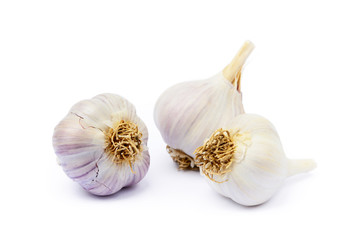 Healthy fresh garlic isolated on white background