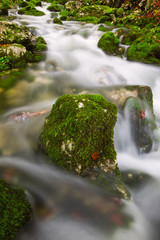 View of a beautiful autumn creek near Bohinj