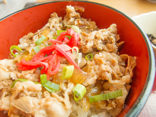 Japanese traditional food Gyudon, a bowl of rice with beef and vegetables