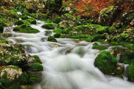 View of a beautiful autumn creek near Bohinj