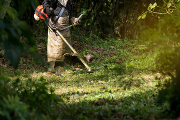 Close up of man holding grass trimmer. 
Worker mowing lawn with  garden gasoline trimmer moving left and right.