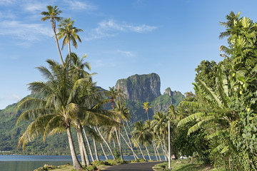 S&uuml;dsee-Bora-Bora-11919