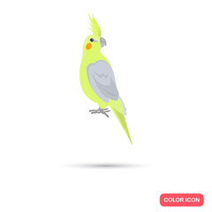 Cockatiel parrot color flat icon for web and mobile design