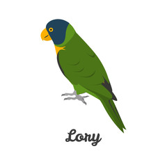 Lory parrot color flat icon for web and mobile design