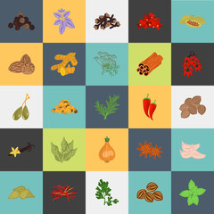 Set of color flat spice icons set with names