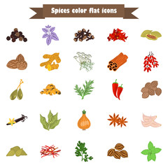 Set of color flat spice icons set with names