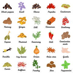 Set of color flat spice icons set with names
