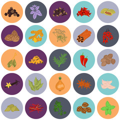 Set of color flat spice icons
