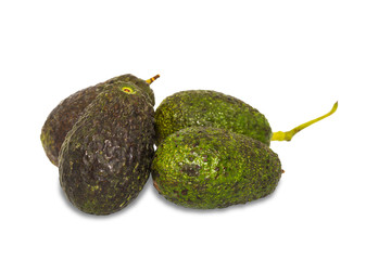 Avocado fruit on white background