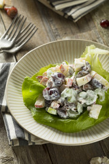 Homemade Fresh Waldorf Salad