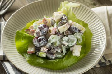 Homemade Fresh Waldorf Salad