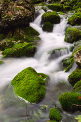 View of a beautiful autumn creek near Bohinj
