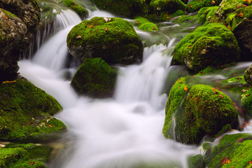 View of a beautiful autumn creek near Bohinj