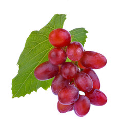 grapes isolated on white background