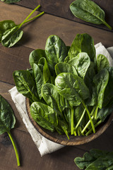 Raw Green Healthy Organic Spinach