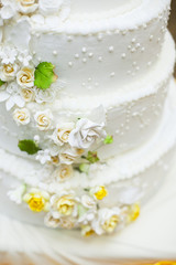 White wedding cake with flowers and blueberries.