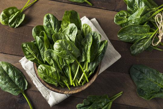 Raw Green Healthy Organic Spinach