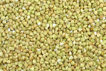 Green buckwheat background