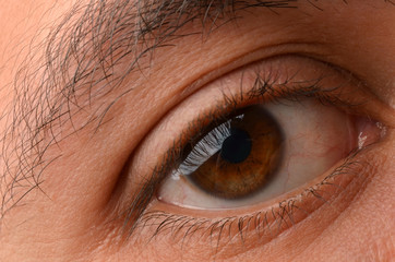 Fototapeta premium Closeup of eye