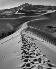 Footprints in the Sahara, black and white.