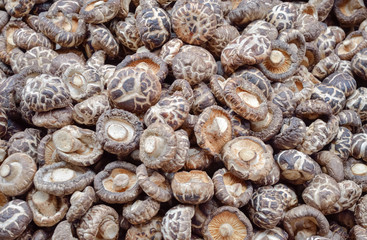 Raw Shiitake Mushroom Background, Healthy Food Concept