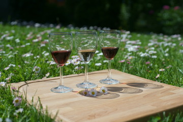 Wine tasting outdoors.