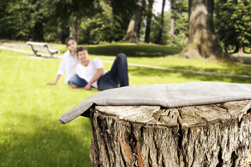 Fototapeta premium two olvers on green grass and tree trunk 